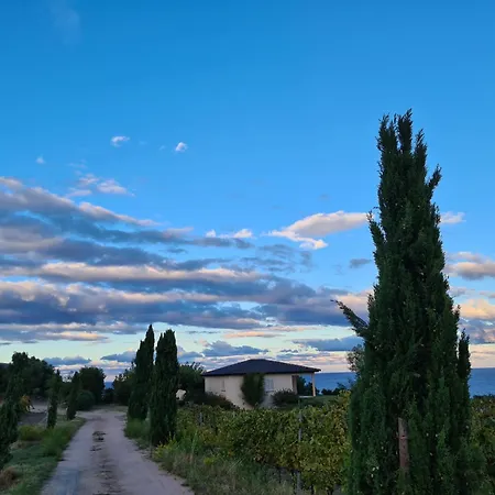 Hotel Niellucciu